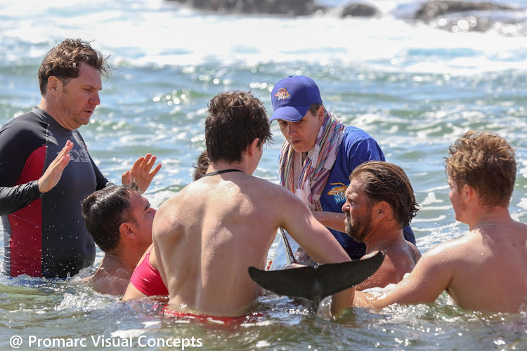 A team which included Kelly de Klerk from Ushaka Marine World, Quentin Power from National Sea Rescue Institute and Kit Case who runs a boat charter as well as Umhlanga lifesavers helped a stranded dolphin safely return to the sea