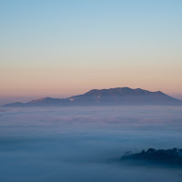 Da Poggio Catino, 2015. di 