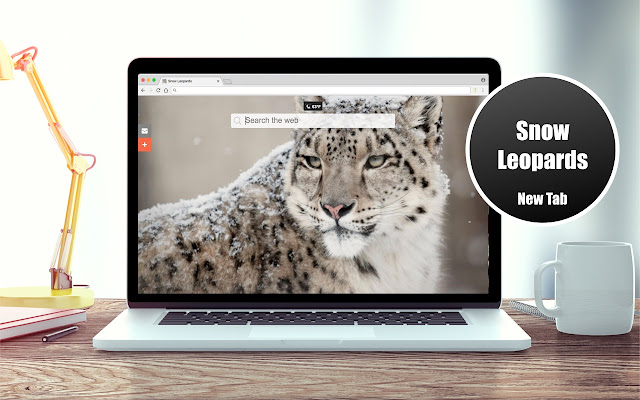 *NEW* HD Snow Leopards Wallpaper New Tab