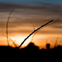 Sunset in Siracusa di 