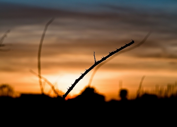 Sunset in Siracusa di Giuseppeseya