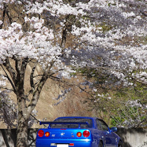 スカイライン GT-R BNR34