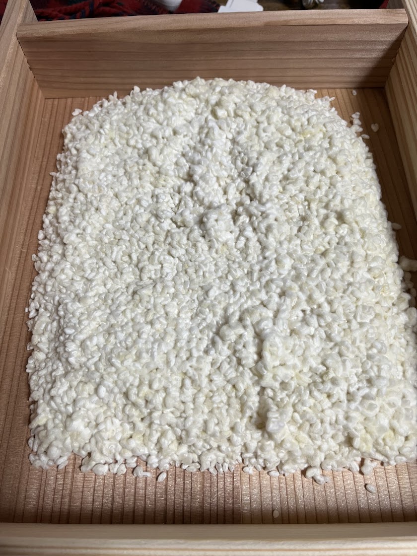 麹蓋（もろぶた・こうじ蓋）Mサイズ -国産天然杉100%-【送料無料】