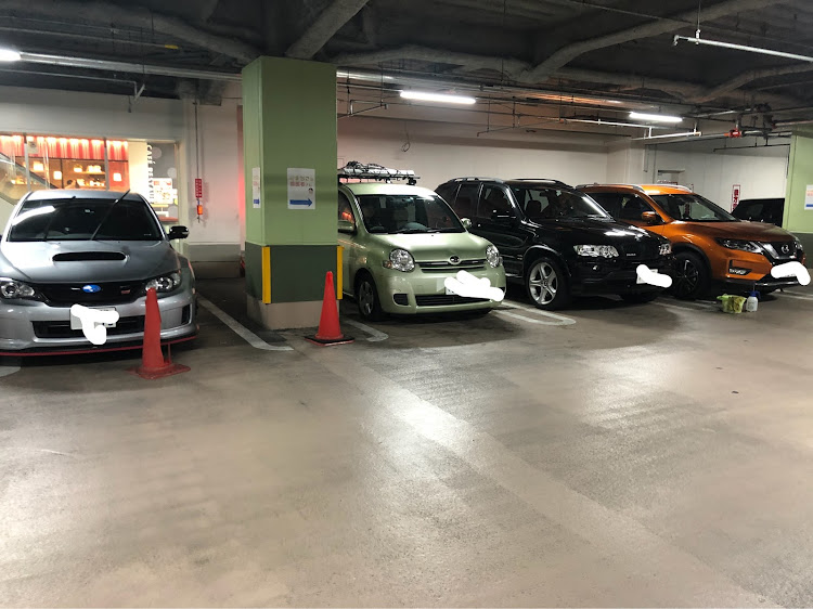 ながら洗車チャンネルさんが投稿した花粉汚れ・コーティング・洗車・花粉に関するカスタム事例の投稿画像1枚目