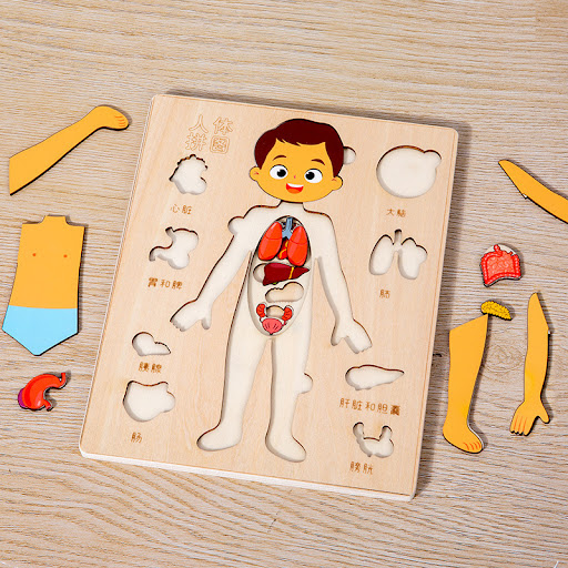 Title 4, Childrens Scientific Enlightenment Body Struct...