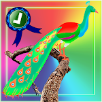 Adventurer Peacock Jumping Apk