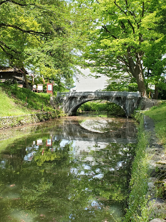 の投稿画像7枚目