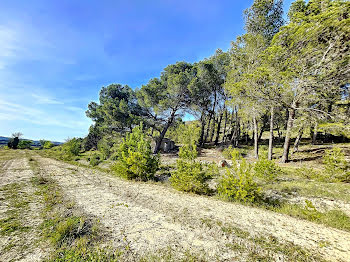 terrain à Sigean (11)