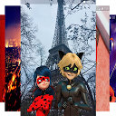 ダウンロード Cool Ladybug Wallpapers HD をインストールする 最新 APK ダウンローダ