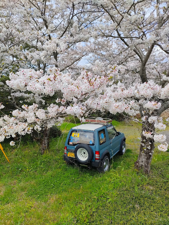 の投稿画像2枚目