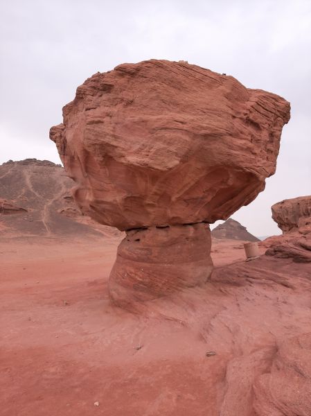 10 дней в Израиле в феврале: история, природа, отдых