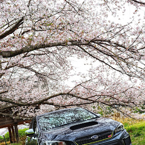 WRX STI