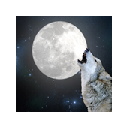 Wolves New Tab Chrome extension download