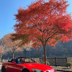 S2000 AP2