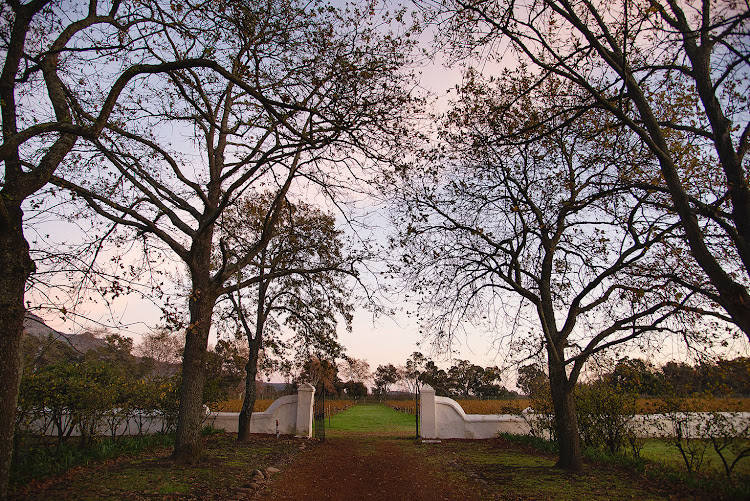 Boschendal farm