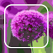 Wallpapers for flowers - Androidアプリ