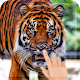 Download Tiger Live Wallpaper HD For PC Windows and Mac 1.0
