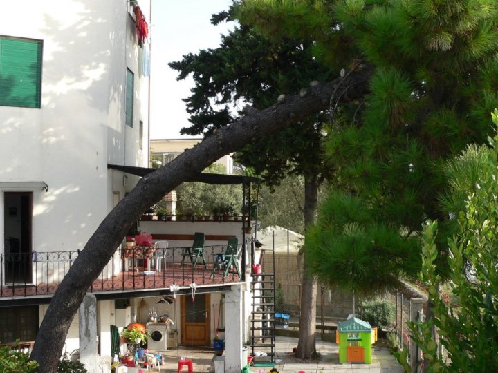 Albero piegato di Sincero65