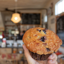 Blueberry Muffin