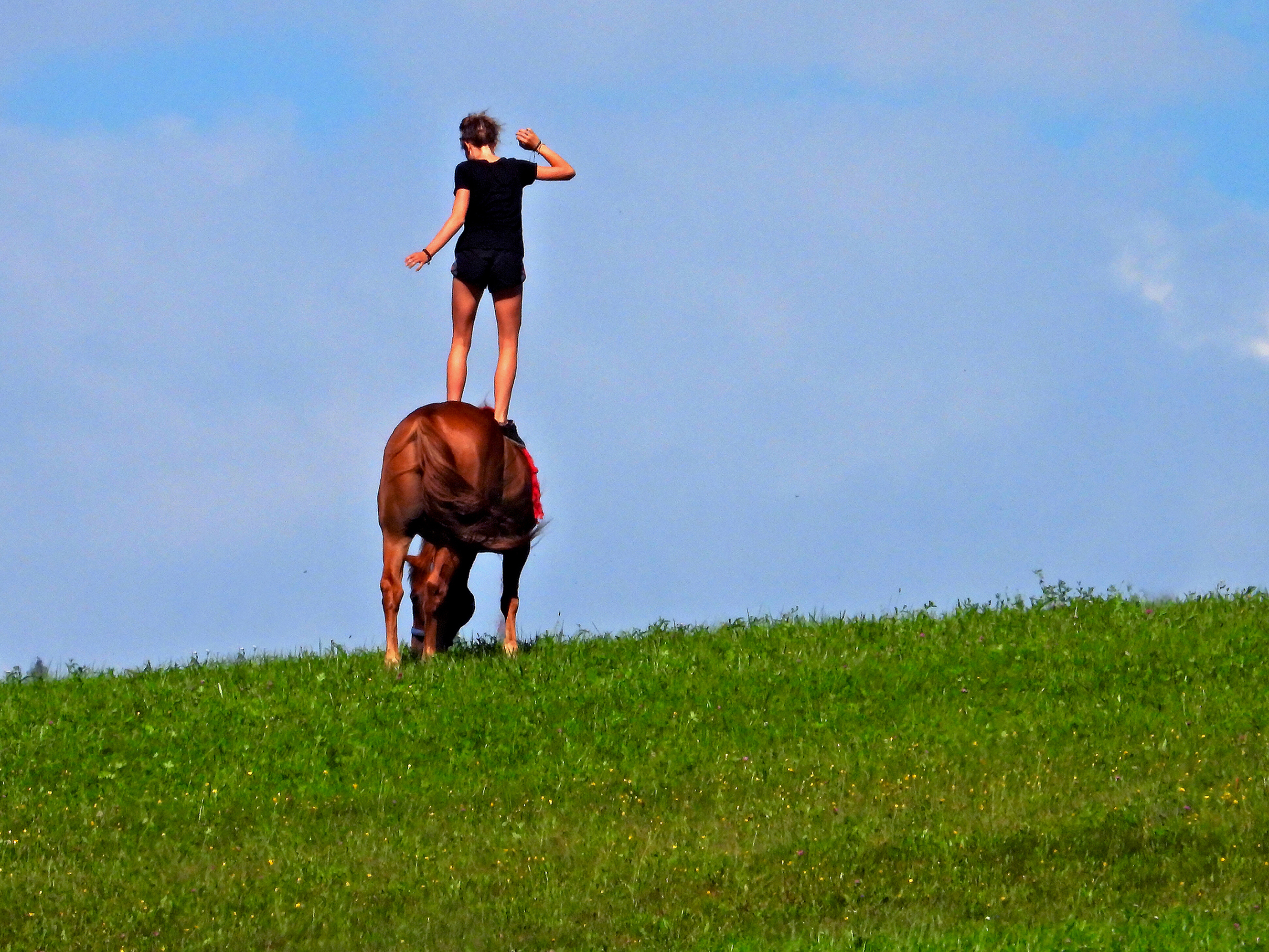 CERCANDO L'EQUILIBRIO di Drinaalina 