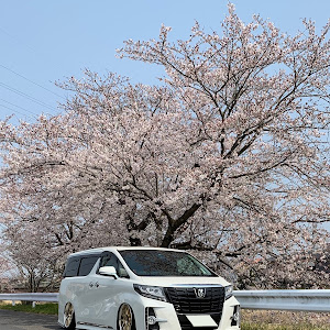 アルファード 30系