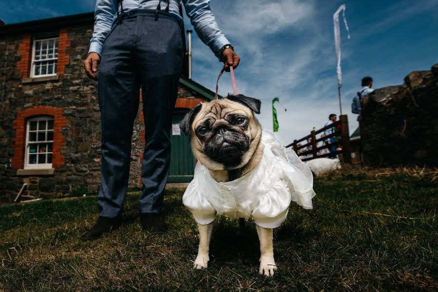 Fotografo di matrimoni Dan Struthers (danstruthers). Foto del 1 luglio 2019