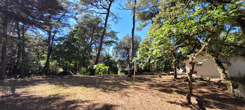 terrain à Saint-Brevin-les-Pins (44)