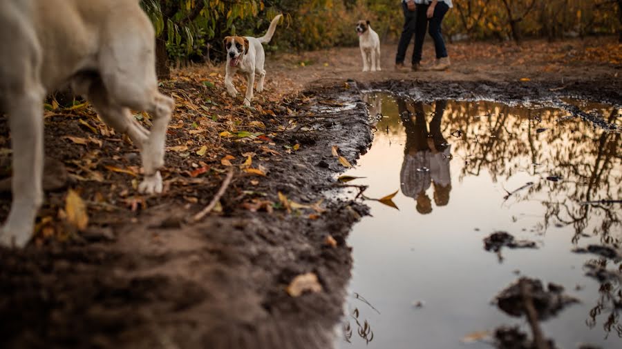 Düğün fotoğrafçısı Rodrigo Osorio (rodrigoosorio). 16 Mayıs 2019 fotoları