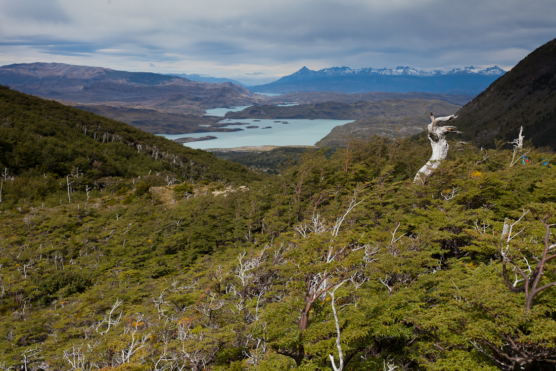 Патагония: Carretera Austral - Фицрой - Торрес-дель-Пайне. Треккинг, фото.