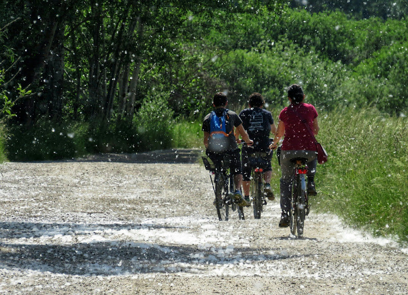 Una pedalata nel polline di Giorgio Lucca