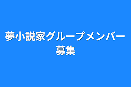 夢小説家グループメンバー募集