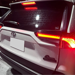 RAV4 MXAA54