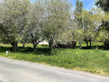 terrain à Brem-sur-Mer (85)