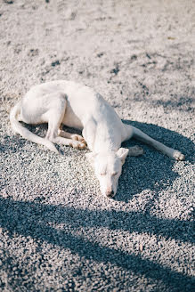 Svatební fotograf Olya Kobruseva (leeloothefirst). Fotografie z 20.února 2018