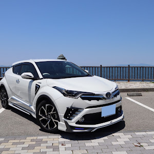 C-HR ZYX10