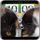 Download Cute Cat Zipper Lock Screen 2018 - Cat Zip Lock For PC Windows and Mac 1.0