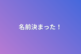 名前決まった！