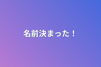 名前決まった！