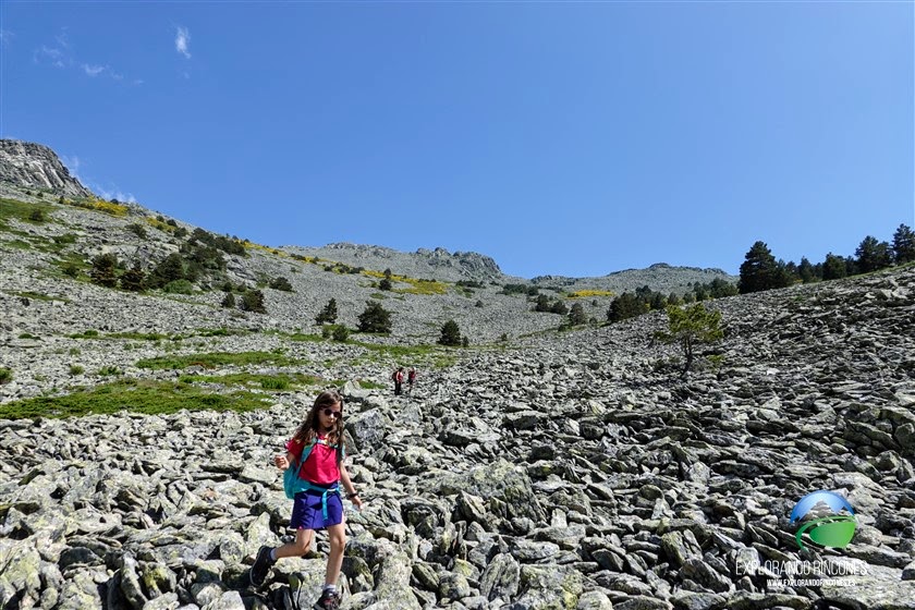 La Pinareja 2.197 con NIÑOS Sierra de Guadarrama