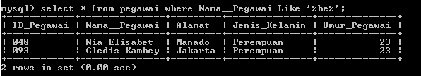 C:\Users\Aras\Documents\Tugas semester 1\Basis data\Tugas besar\7 Like, Order by, Grup By, Asc, Des\Like\Pegawai\Like 17.PNG