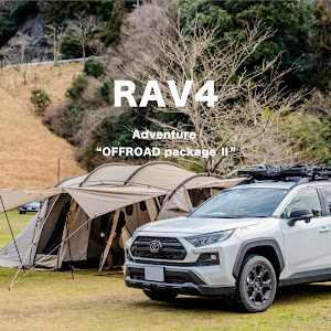 RAV4 MXAA54