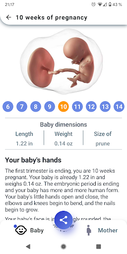 Screenshot My Pregnancy - Week by Week