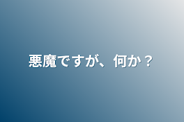 悪魔ですが、何か？