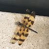 Halloween Pennant