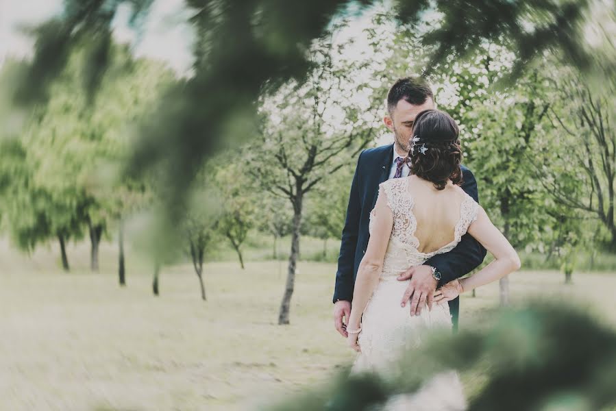 Wedding photographer Djordje Novakov (djordjenovakov). Photo of 24 August 2018