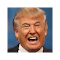 Item logo image for Trump to Babbling Idiot