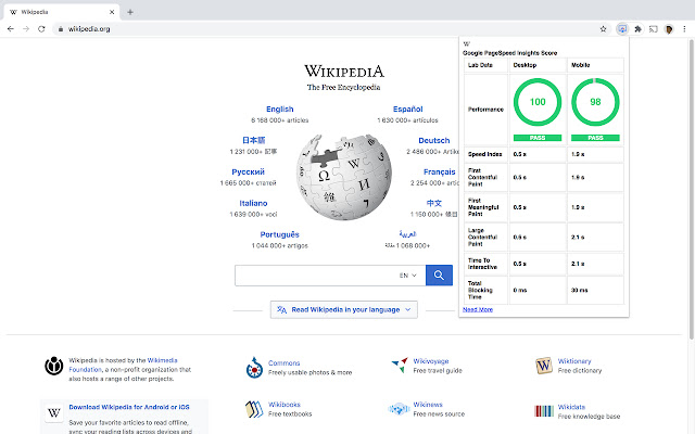 Google PageSpeed Insights API Extension