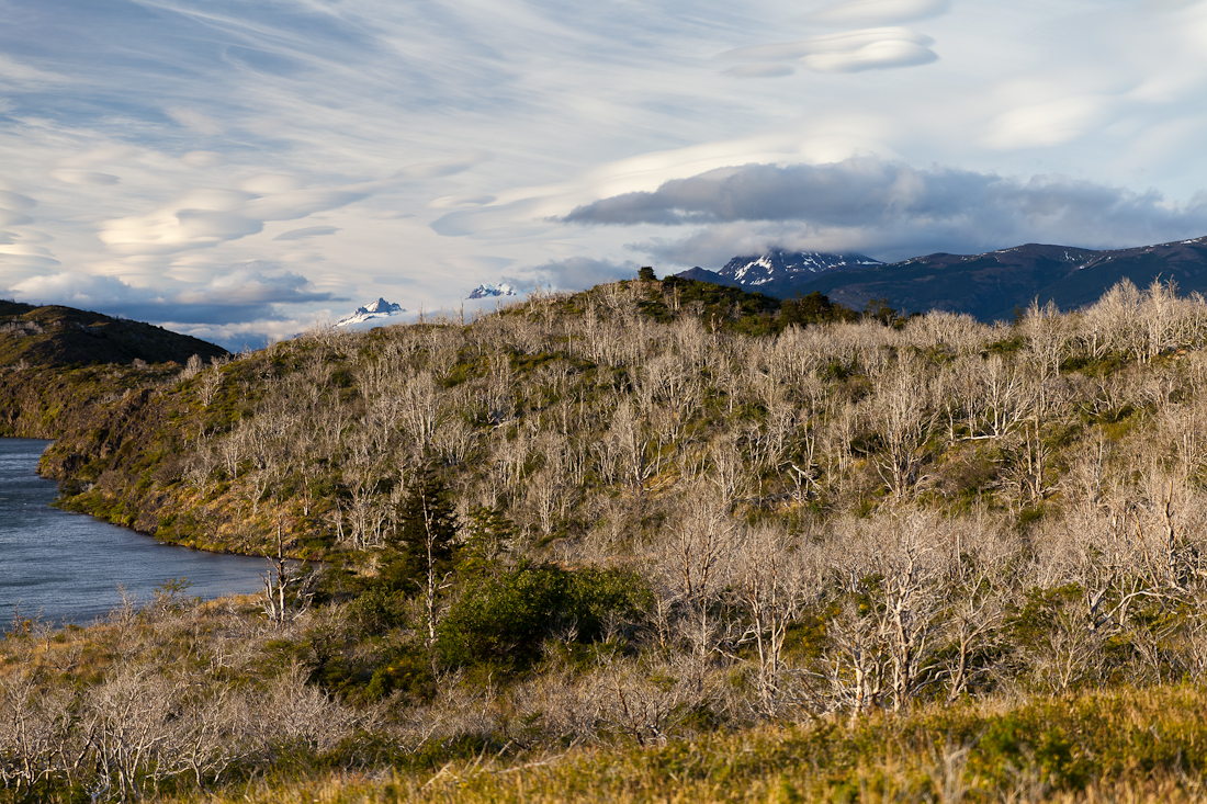 Патагония: Carretera Austral - Фицрой - Торрес-дель-Пайне. Треккинг, фото.