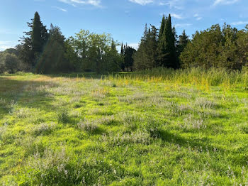 terrain à Grillon (84)