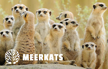 Meerkats HD Wallpapers New Tab Theme small promo image